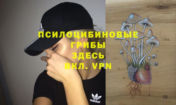 дживик Армянск