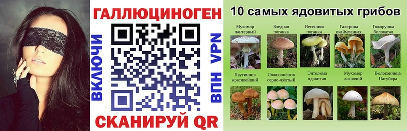 площадка наркотические препараты  купить наркотики сайты  кракен tor  Магас  Псилоцибиновые грибы Psilocybe 
